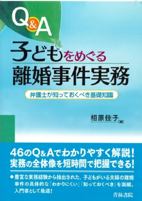 Q&A 子どもをめぐる離婚事件実務 ー弁護士が知っておくべき基礎知識